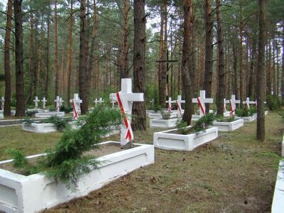 Cmentarz legionowy w „Polskim Lasku” koło Kostiuchnówki (Ukraina) w 2008 r.