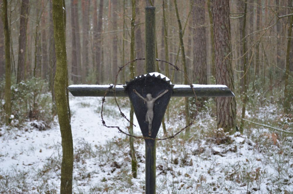 Pamiątkowy krzyż na uroczysku „Baran” – 29 listopada 2016