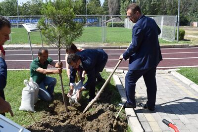 Tbilisi. Akademia Policyjna. Sadzenie drzewa pamięci