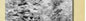 powi�ksz