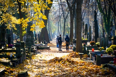 „Zapal znicz na grobie Weterana” – Cmentarz Powązkowski, fot. MN/BUWiM